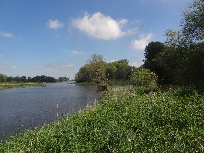 magdeburg-alte-elbe-51.jpg