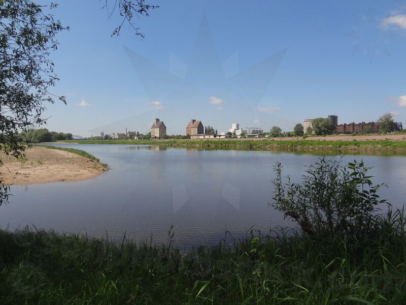 magdeburg-alte-elbe-53.jpg