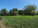 Pravobřežní traviny u Labe mají někdy sucho, jindy jsou zaplavené.