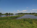 Pravobřežní zátoka Labe nad vyústěním Lostauer Alte Elbe. 