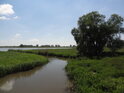 Lostauer Alte Elbe nad návratem do řeky Labe u Alt Lostau.