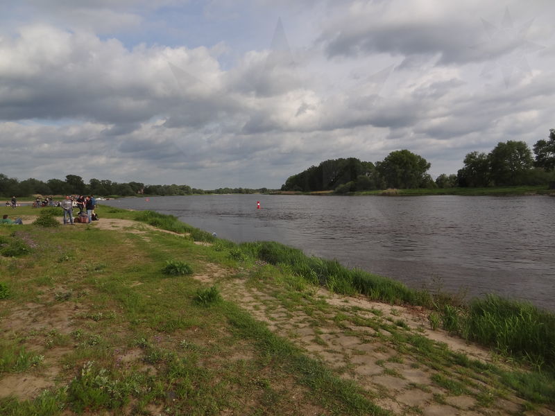 magdeburg-stromelbe-05.jpg