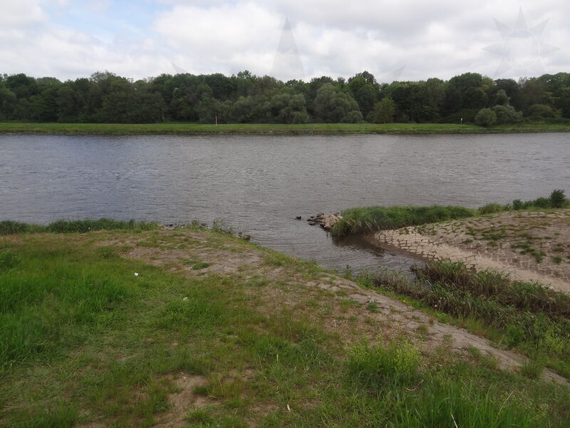 magdeburg-stromelbe-11.jpg