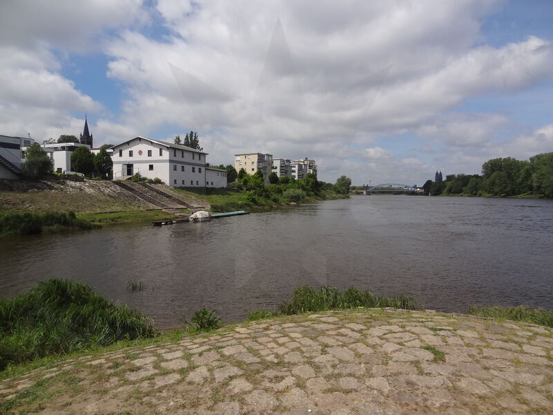 magdeburg-stromelbe-15.jpg