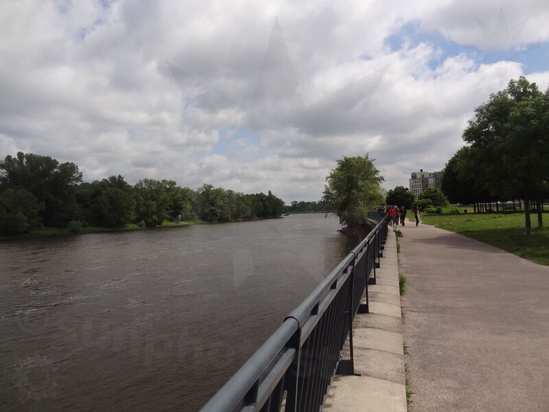 magdeburg-stromelbe-20.jpg