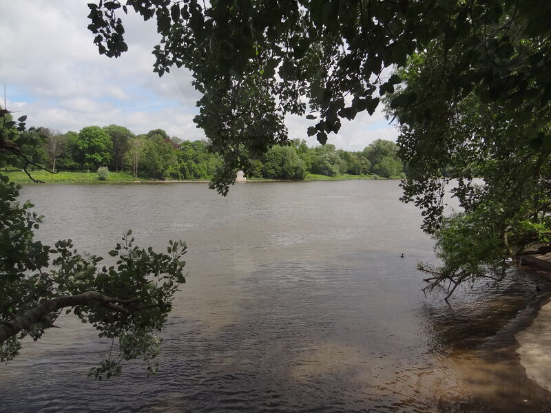 magdeburg-stromelbe-22.jpg