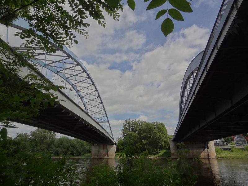 magdeburg-stromelbe-77.jpg