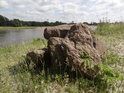 Balvan na levém břehu Stromelbe obklopený topolovým chmýřím, Magdeburg.