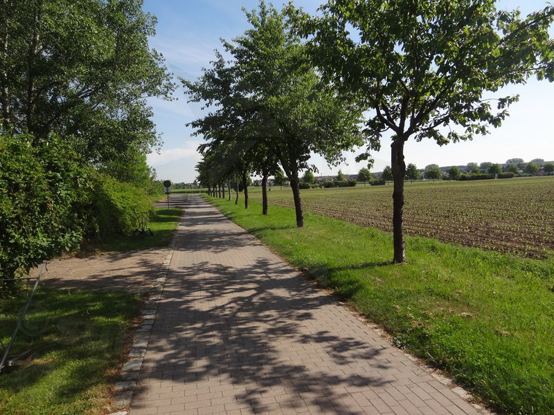 meissen-riesa-42.jpg