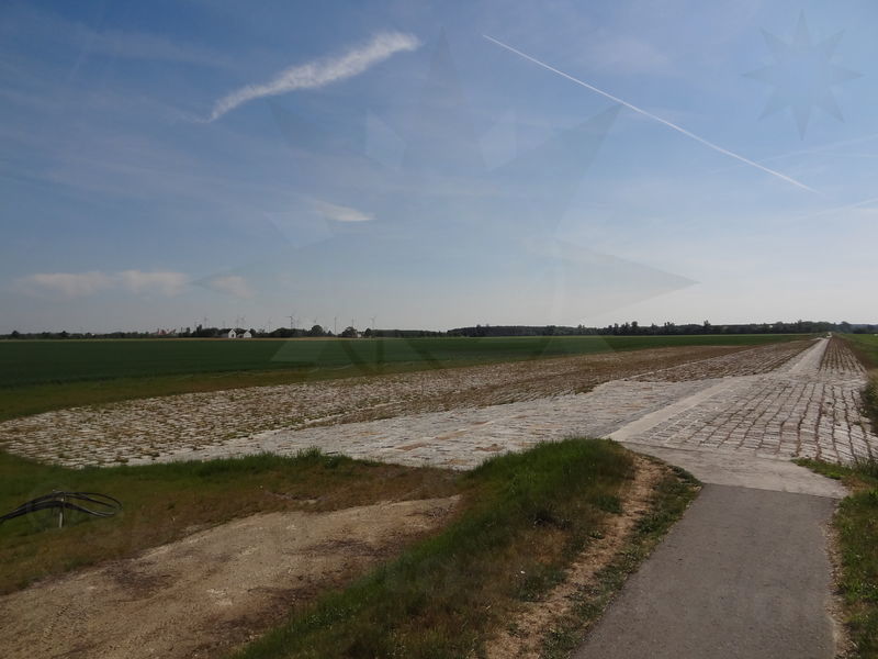 meissen-riesa-49.jpg