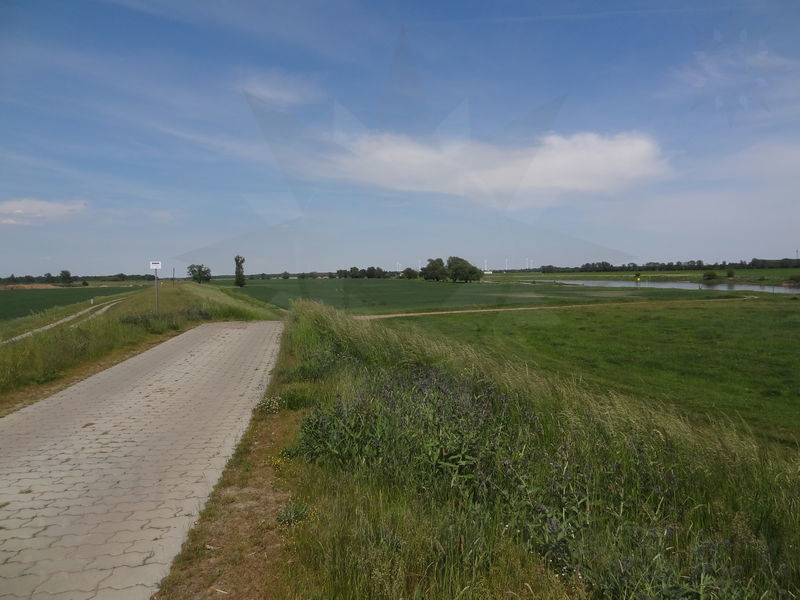 muhlberg-torgau-03.jpg