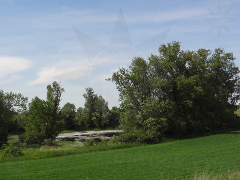 muhlberg-torgau-07.jpg