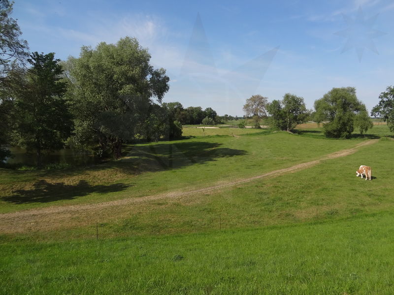 muhlberg-torgau-35.jpg