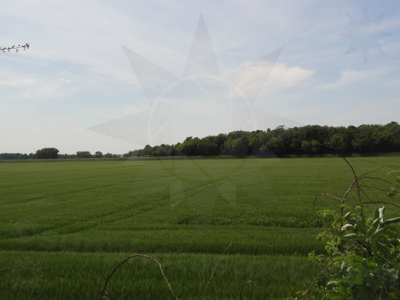elbe-muhlberg-02.jpg