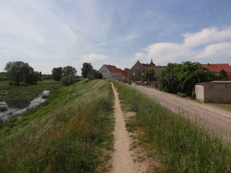 elbe-muhlberg-13.jpg