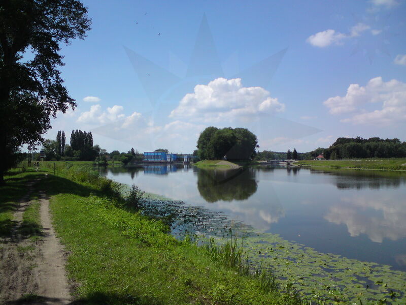 labe-nc-10.jpg