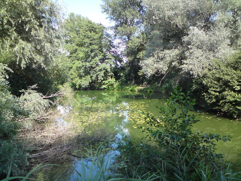 labe-nc-23.jpg