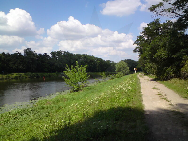labe-nc-27.jpg