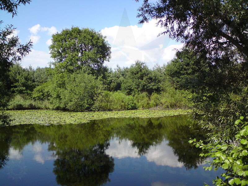 labe-nc-31.jpg