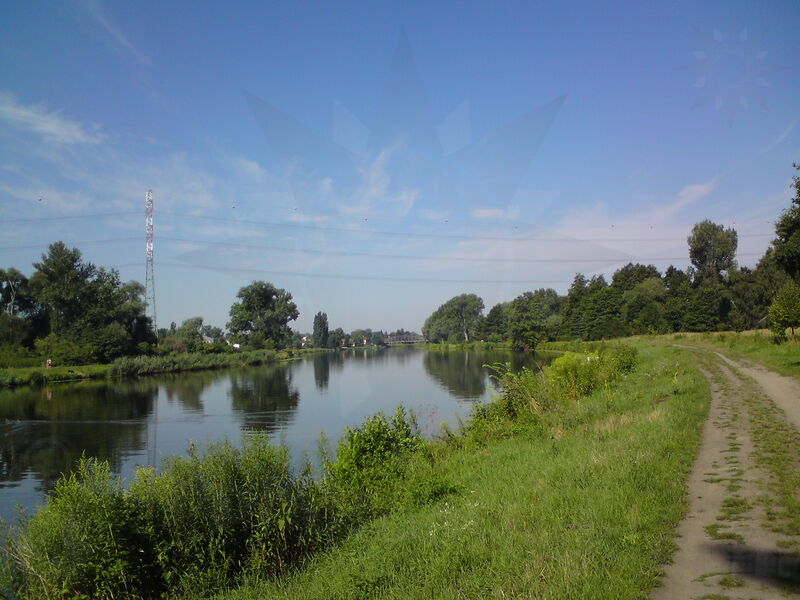 labe-nc-70.jpg