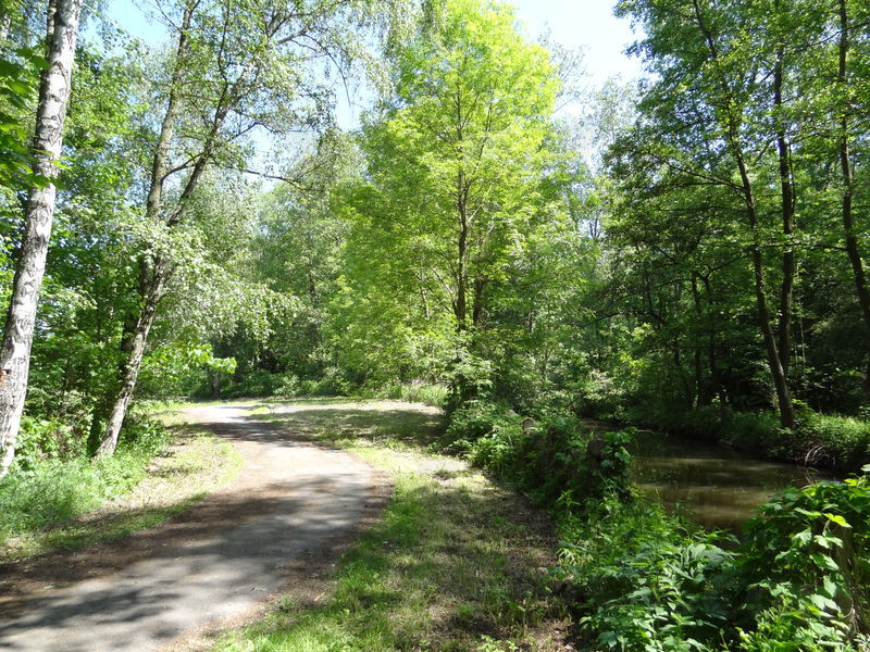 ok-bohdanec-03.jpg