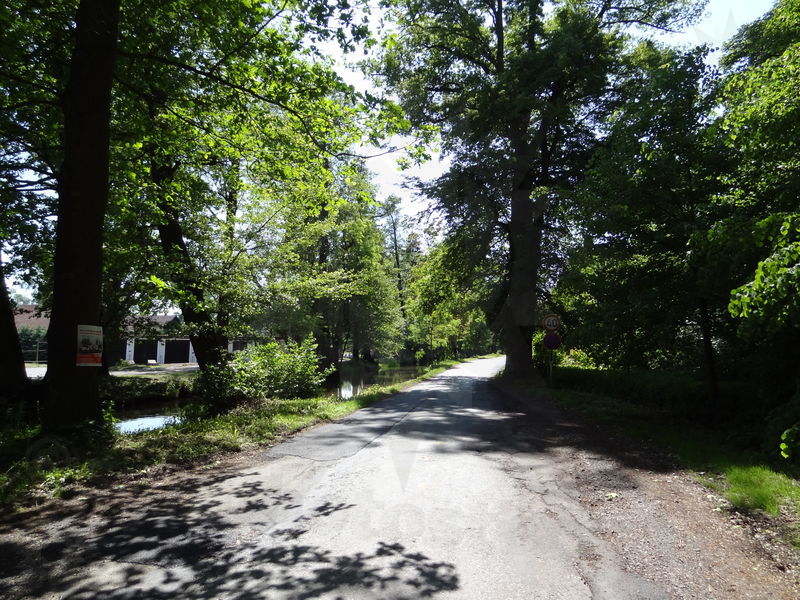 ok-bohdanec-16.jpg