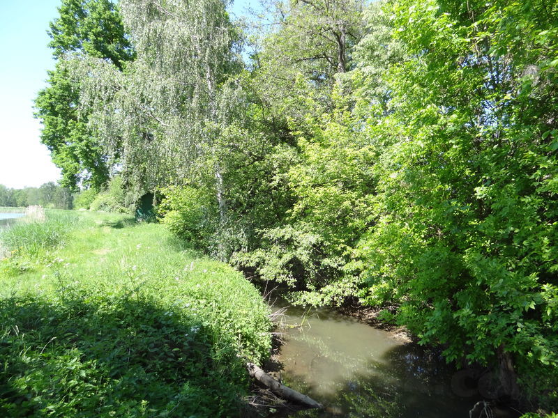 ok-bohdanec-19.jpg