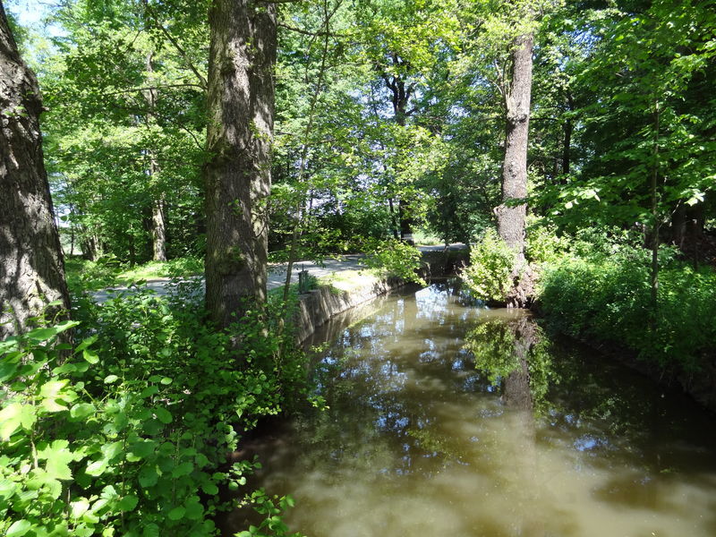 ok-bohdanec-28.jpg