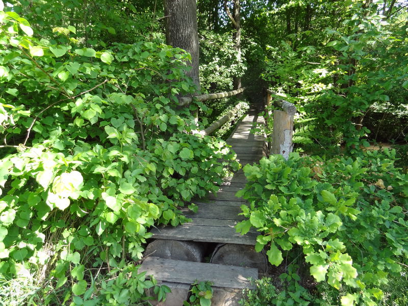 opatovicky-kanal-ob-19.jpg