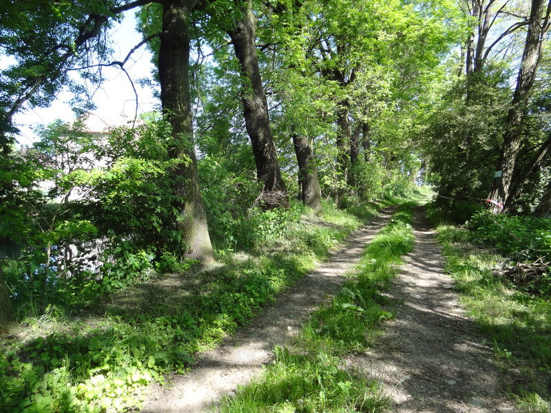 opatovicky-kanal-ob-28.jpg