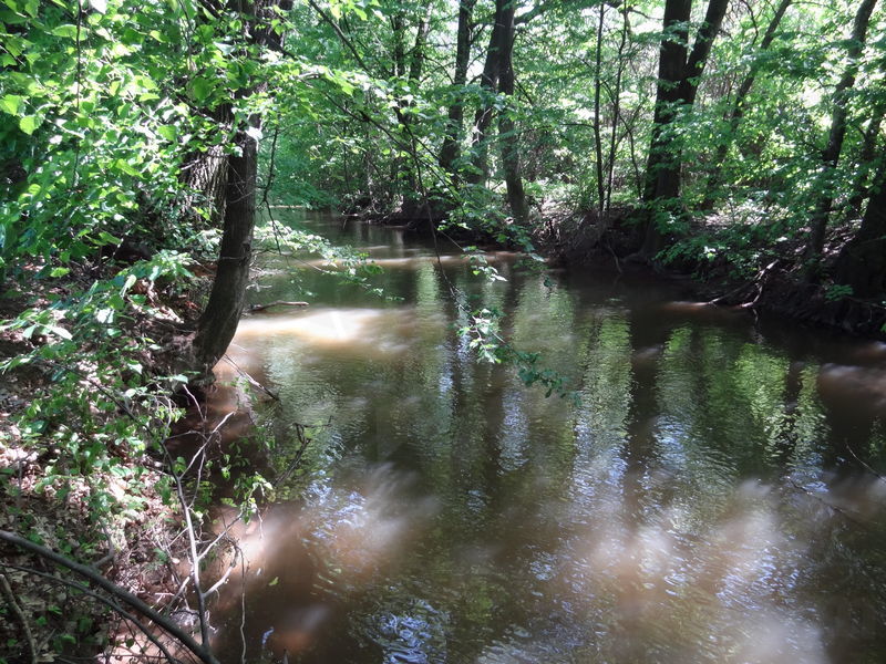 opatovicky-kanal-ob-34.jpg