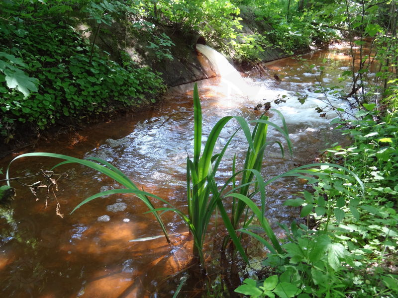 opatovicky-kanal-ob-55.jpg