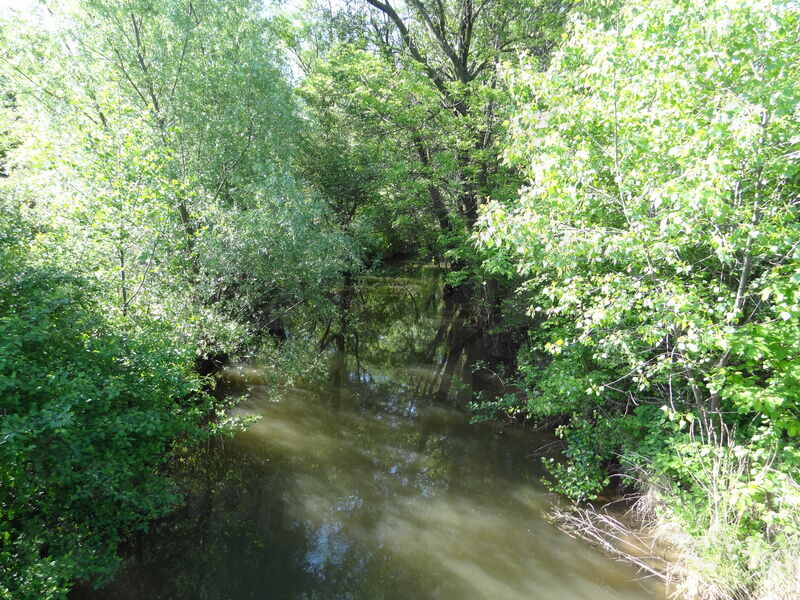 ok-opatovice-37.jpg
