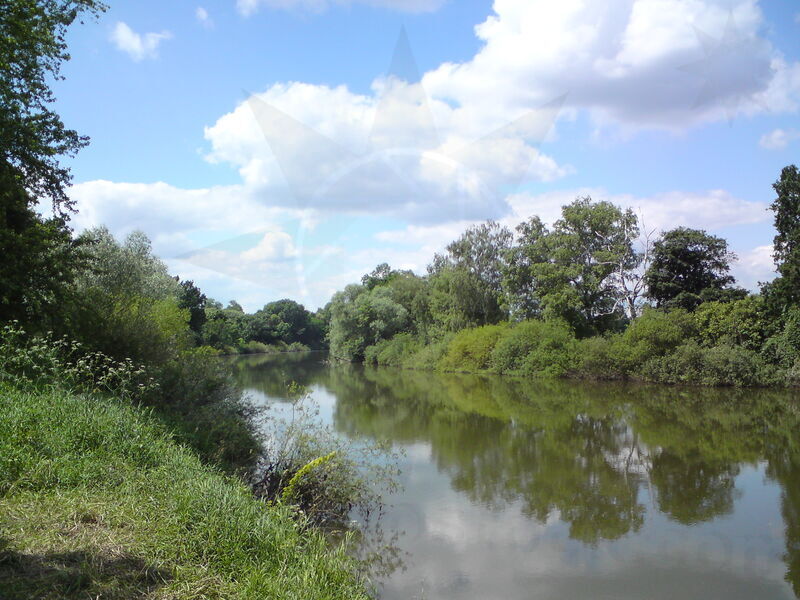 labe-pp-14.jpg