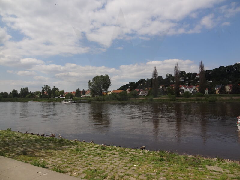 elbe-pirna-08.jpg