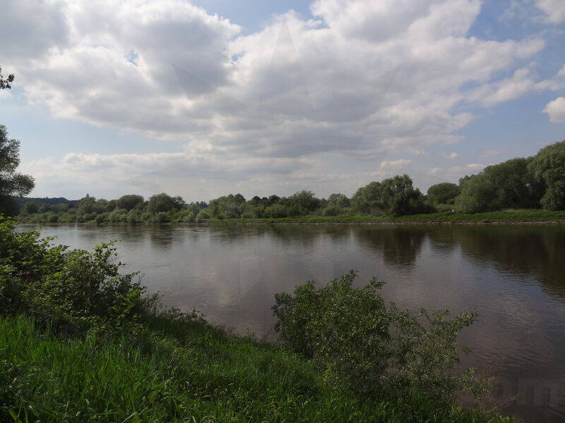 elbe-pirna-31.jpg