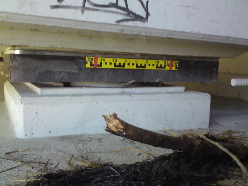 labe-pn-13.jpg