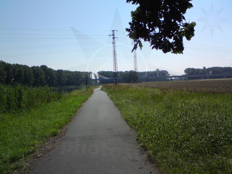 labe-pn-17.jpg