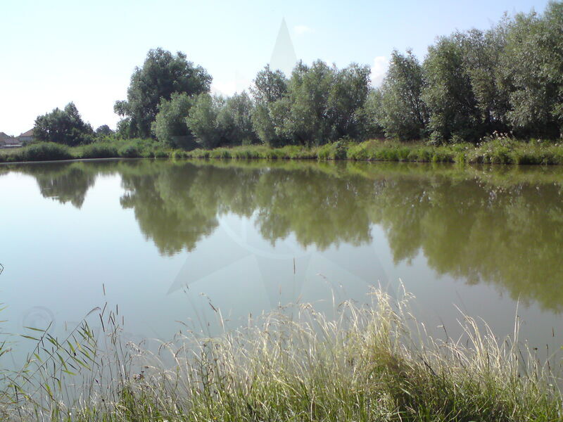 labe-pn-18.jpg