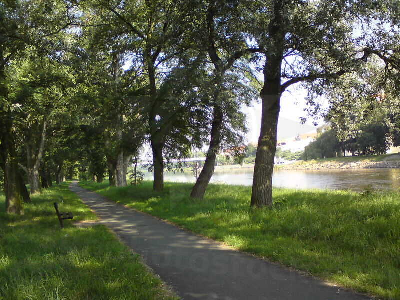 labe-podebrady-34.jpg