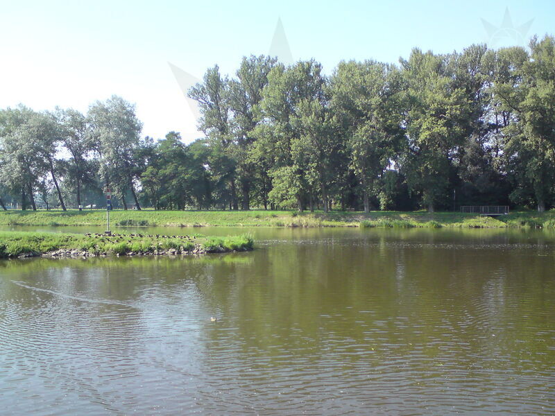 labe-podebrady-35.jpg