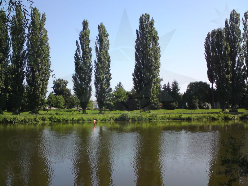 labe-podebrady-69.jpg