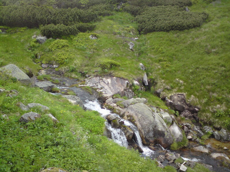 labe-p-pudlava-09.jpg