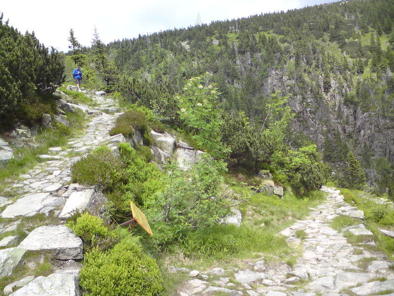 labe-p-pudlava-10.jpg