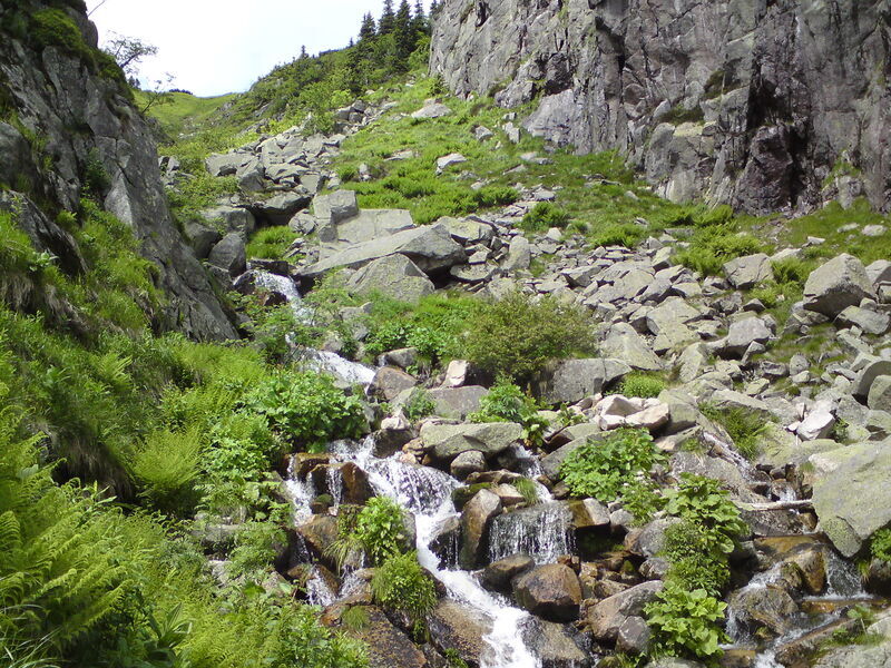 labe-p-pudlava-14.jpg