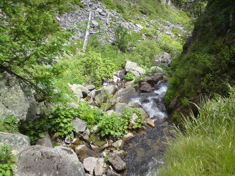 labe-p-pudlava-16.jpg