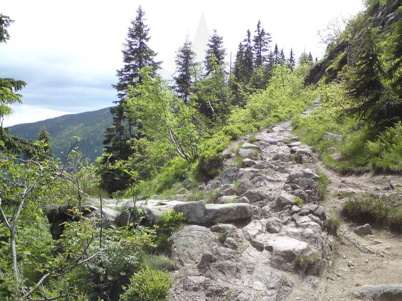 labe-p-pudlava-19.jpg