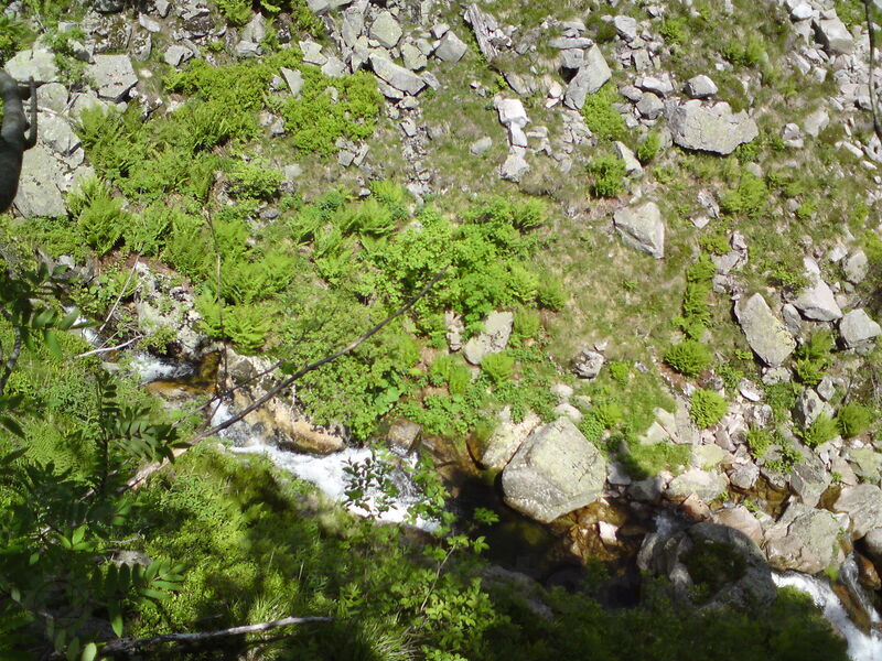 labe-p-pudlava-24.jpg