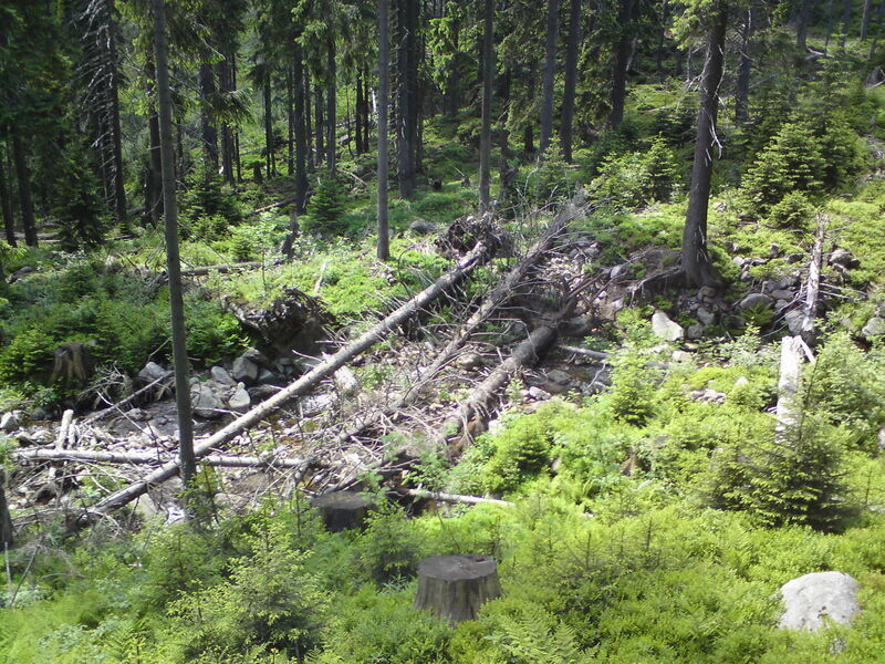 labe-p-pudlava-30.jpg