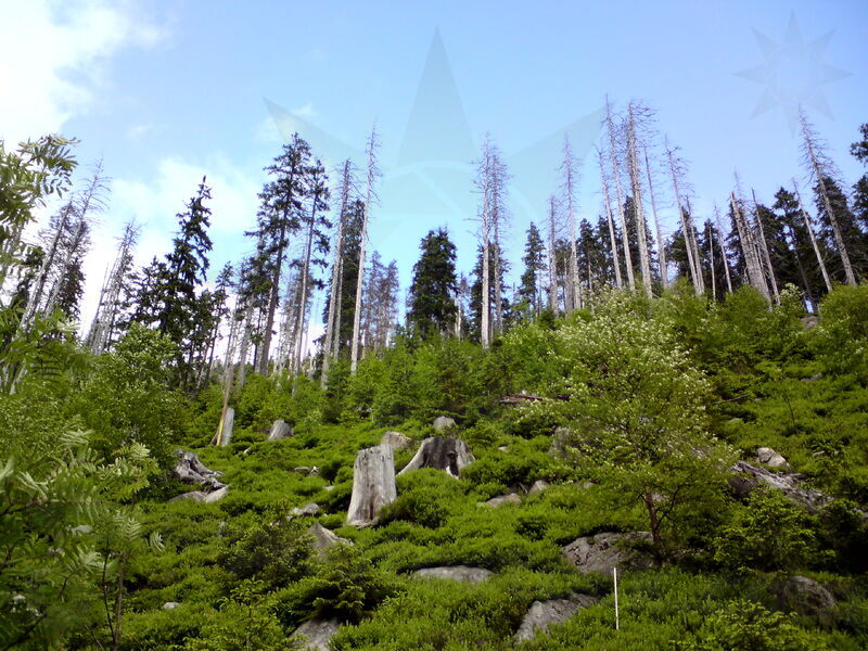 labe-p-pudlava-32.jpg